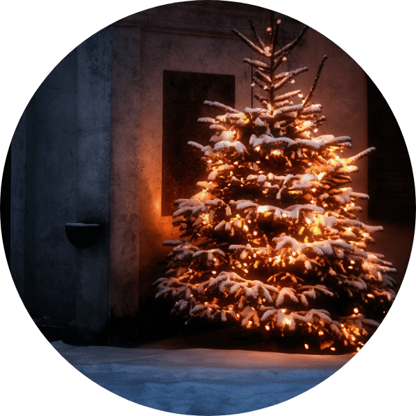 Christmas Light Installation Winnipeg Bjorns Mow and Snow